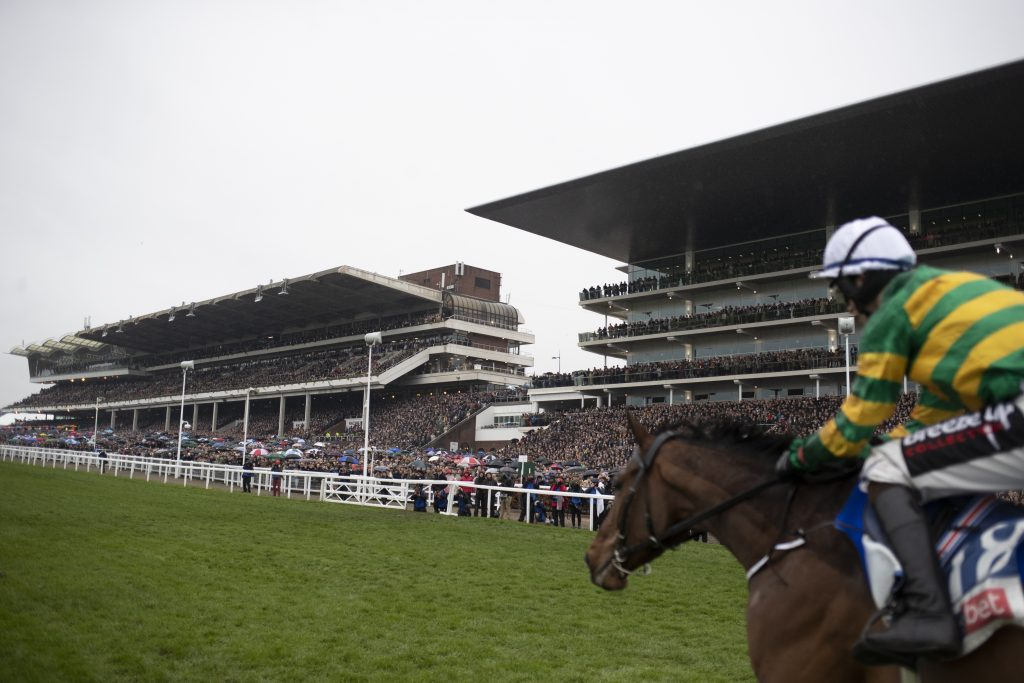 The Cheltenham crowd watch the Supreme Novices Hurdle