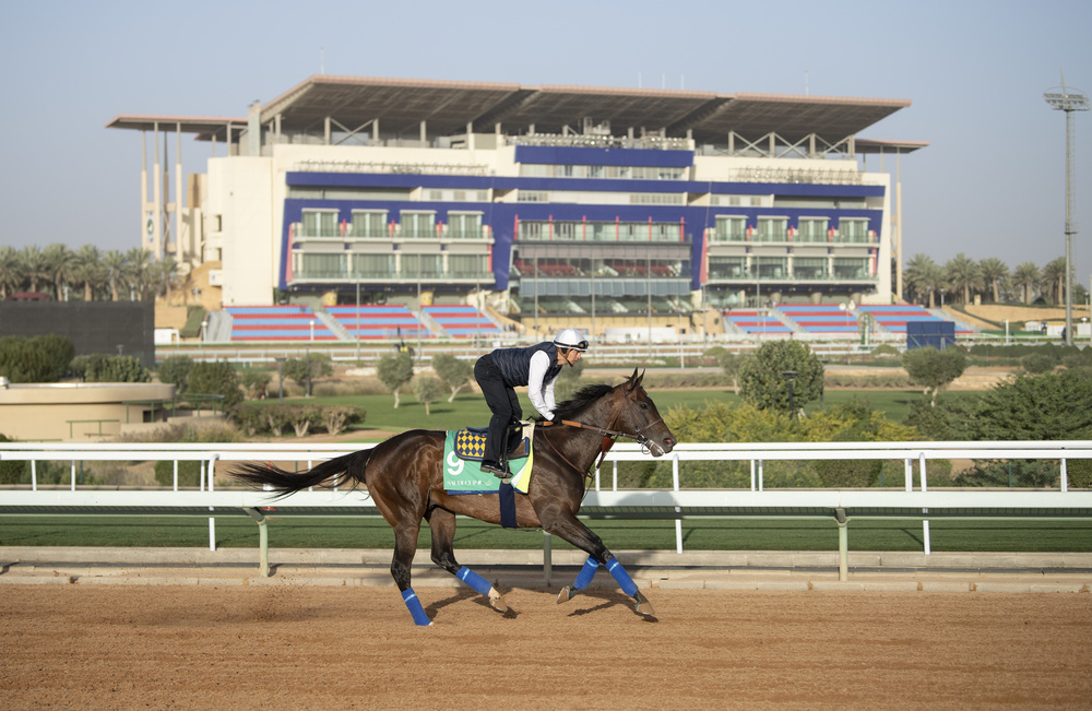 Bob Baffert's McKinzie exercises ahead of the Saudi Cup