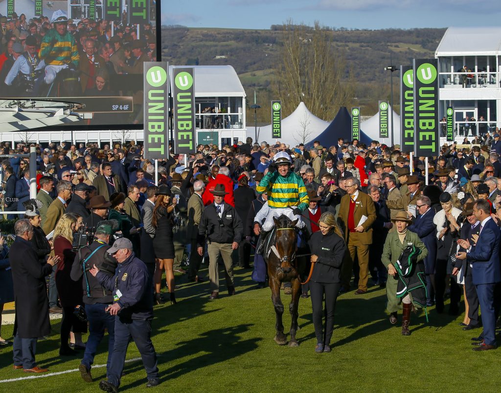 Buveur D'Air after winning the 2018 Unibet Champion Hurdle at the Cheltenham Festival
