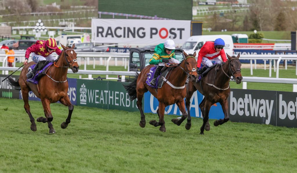 Champ landing the RSA at the 2020 Cheltenham Festival