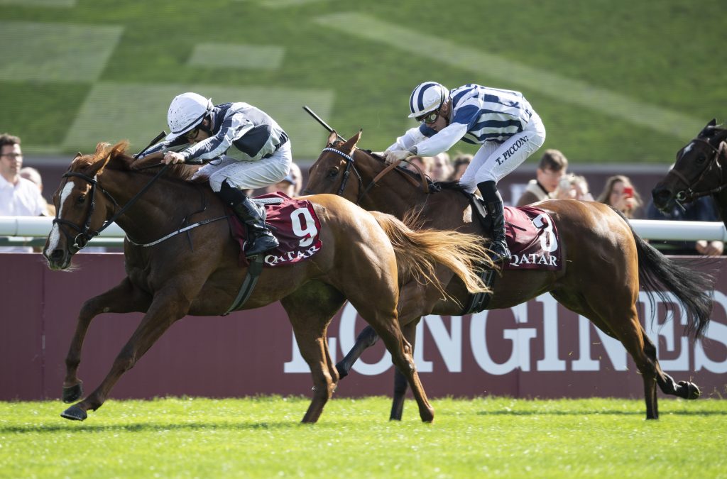 Albigna at Longchamp