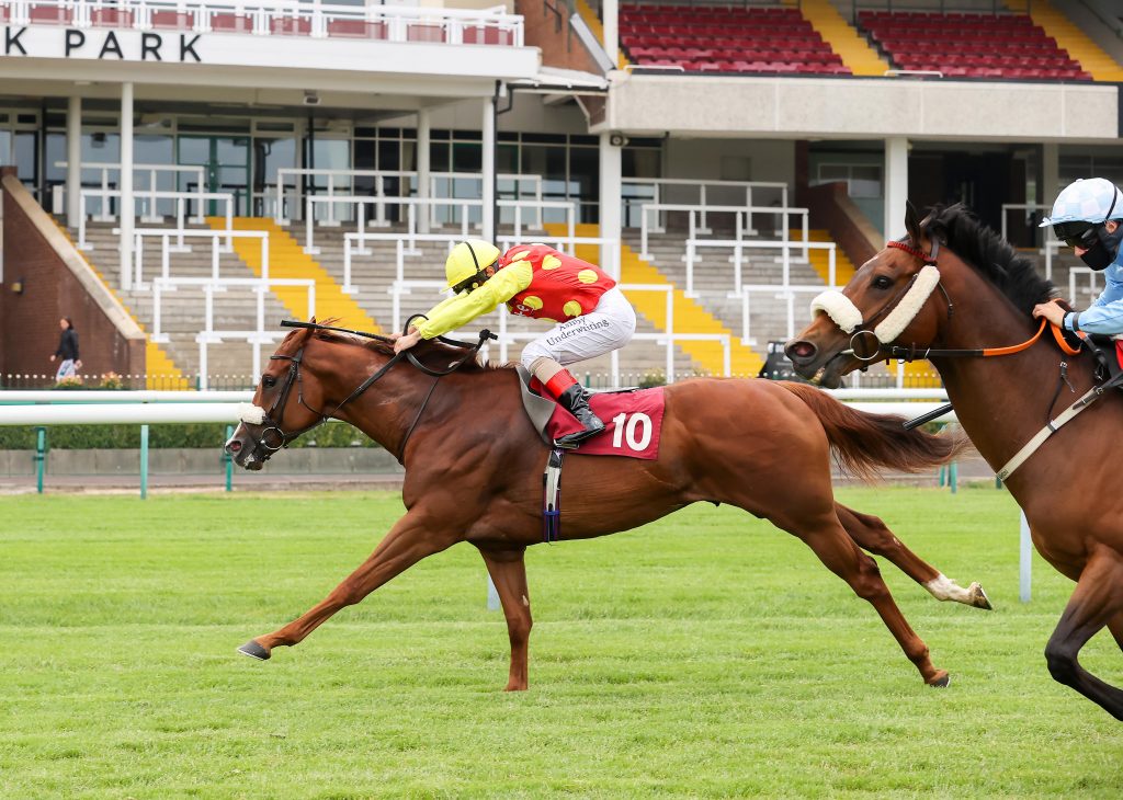 Celcius ridden by Andrea Atzini winning at Haydock