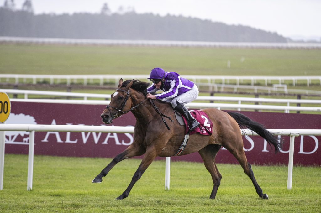 Magical Wins The Pretty Polly