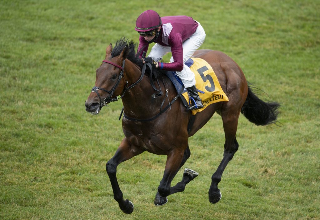 Mishriff wins the Newmarket Stakes