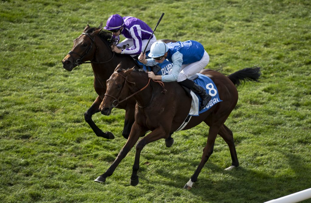 Persian King wins Autumn Stakes